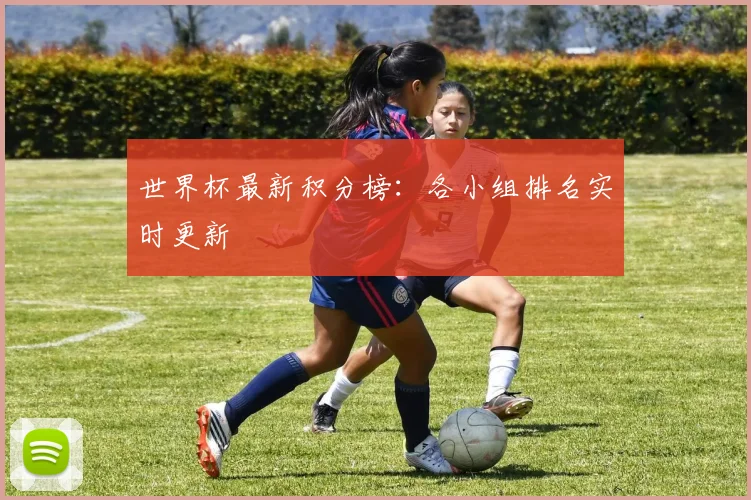 世界杯最新积分榜:各小组排名实时更新