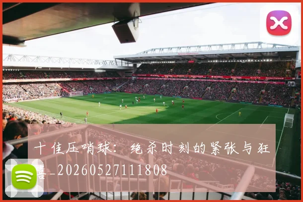 十佳压哨球:绝杀时刻的紧张与狂喜_20260527111808